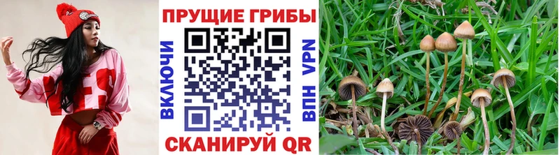 Псилоцибиновые грибы Magic Shrooms Купить где Белебей